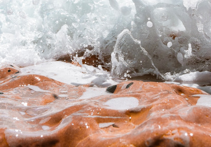 Water 