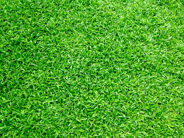 Kunstgras en waterbesparing