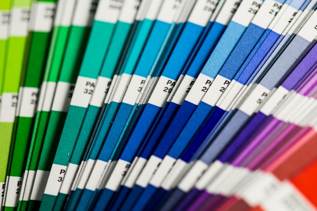 Hoe kiezen tussen verschillende kleuren verf