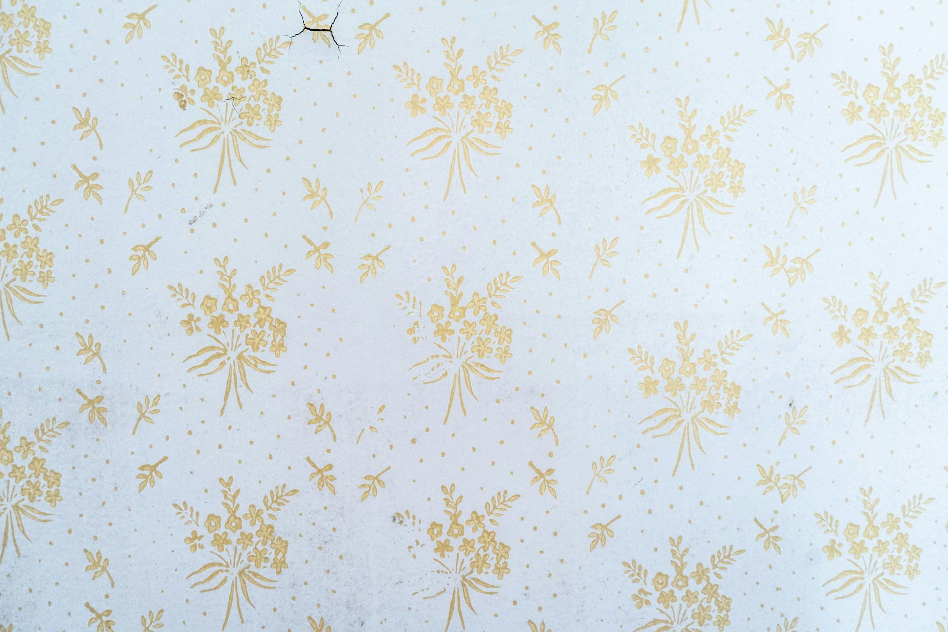 Creative plaster